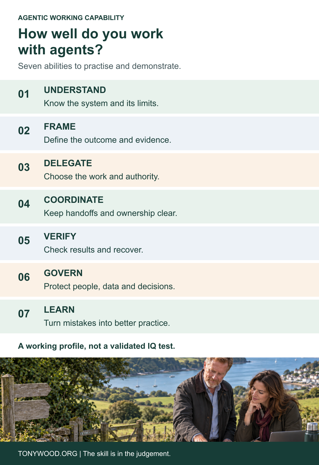 Seven abilities for working with agents: understand, frame, delegate, coordinate, verify, govern and learn. A proposed working profile, not a validated IQ test.