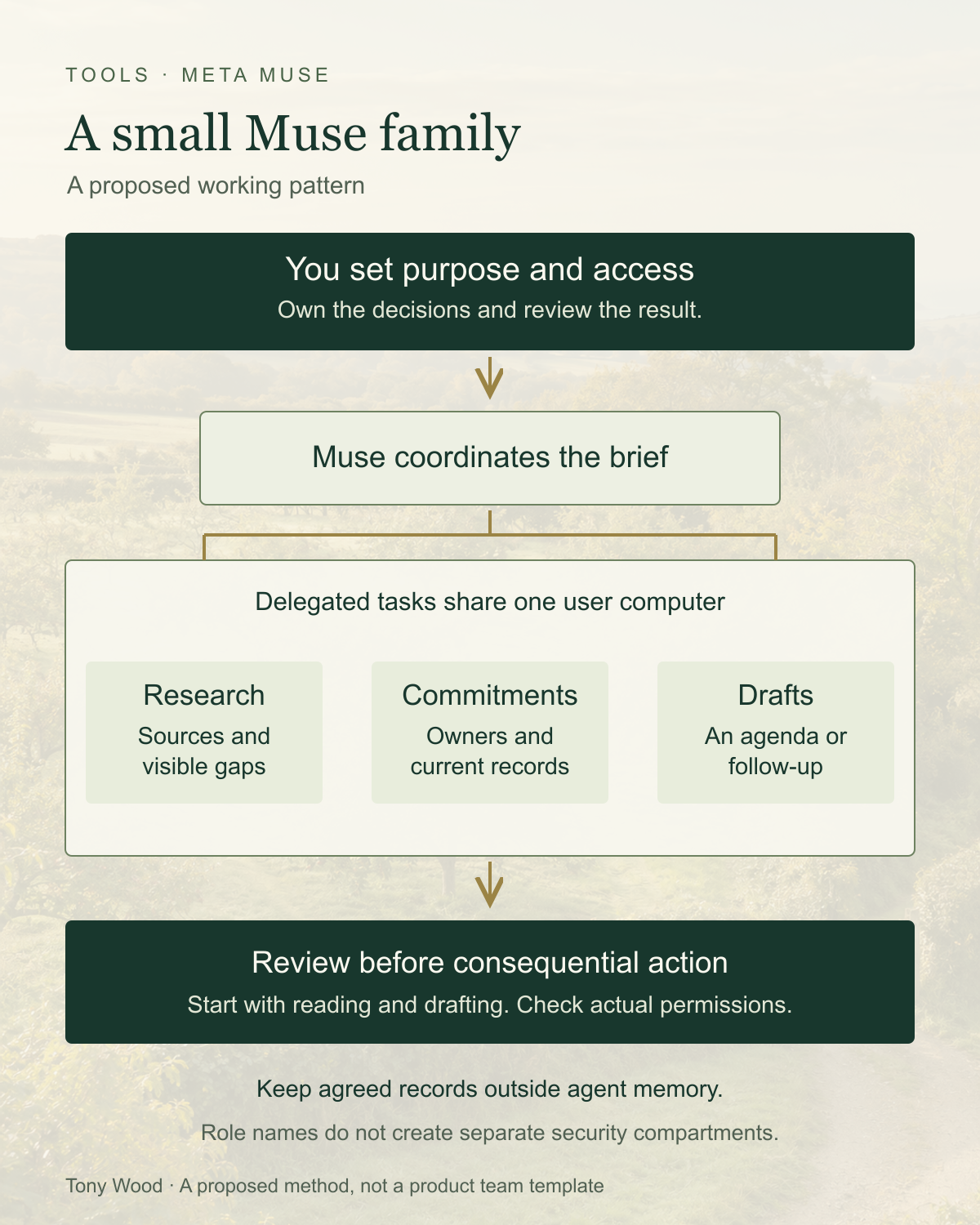 Proposed Muse family: a human sets purpose and access; Muse coordinates research, commitments and drafts on one shared user computer; important actions are reviewed and approved records remain outside agent memory.