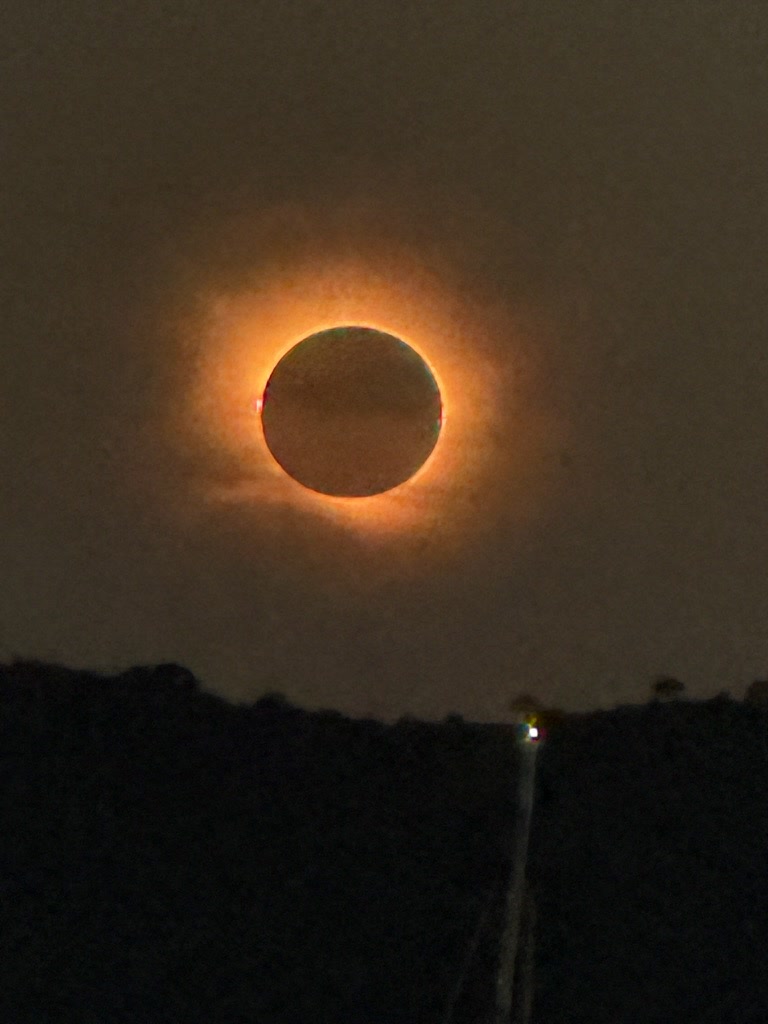The dark disc of the Moon surrounded by the glowing solar corona above a dark horizon.