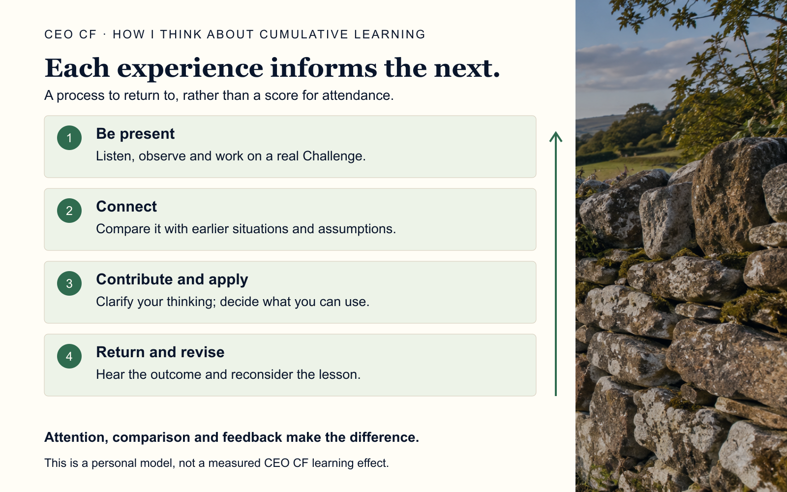 Cumulative peer learning: experience a real Challenge, connect it to earlier situations, contribute and act, then return to the outcome and revise your understanding. Attention, comparison and feedback matter; attendance alone does not guarantee better judgement.