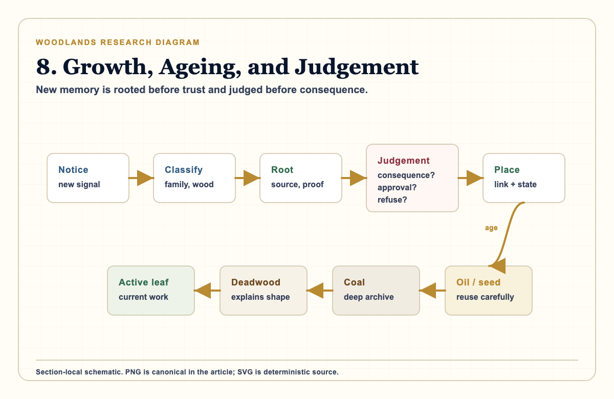 Research diagram showing the Woodlands growth loop from notice to classify, root, judgement, place, and archive states.